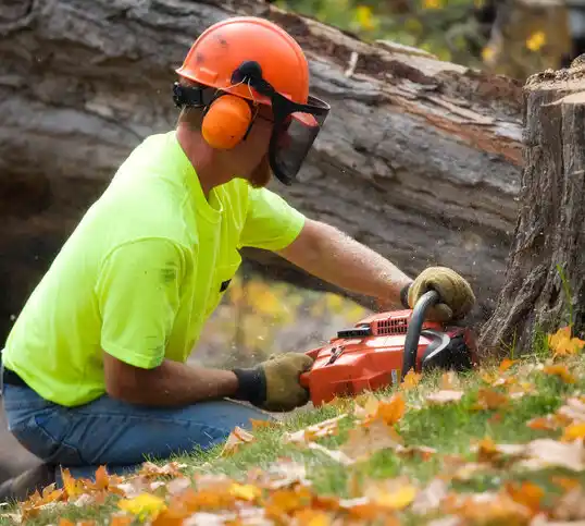 tree services Tipton